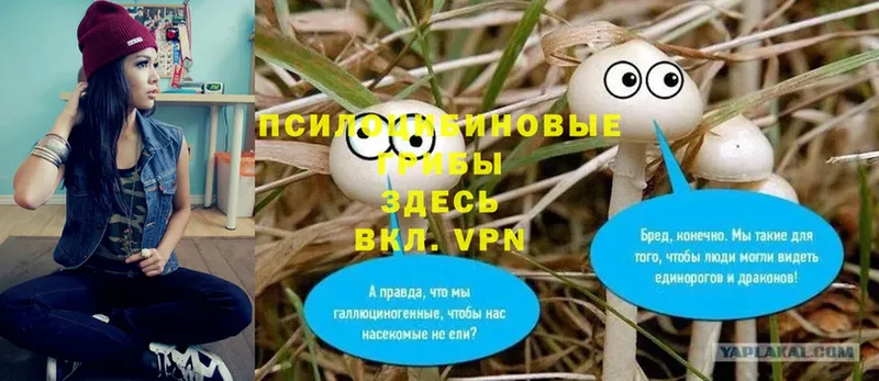 Галлюциногенные грибы мицелий Нижний Ломов